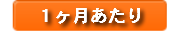 1ヶ月あたり